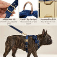 Load image into Gallery viewer, Dark Blue Velvet Set