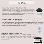 Fabulously Clean Body Wipes