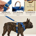 Load image into Gallery viewer, Blue Velvet Set