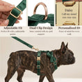 Load image into Gallery viewer, Velvet Forest Teal Set