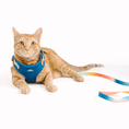 Load image into Gallery viewer, Atlas Cat Harness & Leash Set