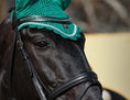 Load image into Gallery viewer, Teal Saddle Pad Set