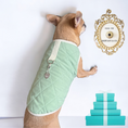 Load image into Gallery viewer, Quilted Sniffany Puff Vest- Dog Coat