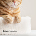 Load image into Gallery viewer, Kip Cat Cushion
