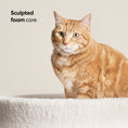 Load image into Gallery viewer, Kip Cat Cushion