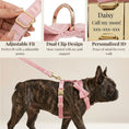 Load image into Gallery viewer, Pink Velvet Set