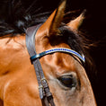Load image into Gallery viewer, Blue Astra Browband by Southlake Paws features a horse's head adorned with a sparkling blue and silver browband.