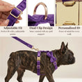 Load image into Gallery viewer, Velvet Purple Set