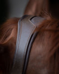 Load image into Gallery viewer, Gold Accented Figure 8 Bridle with Gold Browband