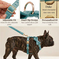 Load image into Gallery viewer, Turquoise Stone Velvet Set