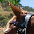 Load image into Gallery viewer, Patriot American Browband