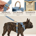 Load image into Gallery viewer, Blue Denim Set