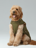 Load image into Gallery viewer, Reversible Dog Vest Jacket - Green Brown