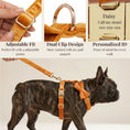 Load image into Gallery viewer, Orange Velvet Set