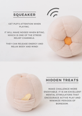 Load image into Gallery viewer, PARADISE PET TOY - CUCURBITA