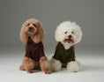Load image into Gallery viewer, GLACIER PET SWEATER - BURGUNDY