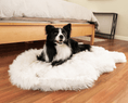 Load image into Gallery viewer, PupRug by Paw.com™ Faux Fur Orthopedic Dog Bed - Curve Polar White