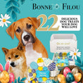 Load image into Gallery viewer, Spring Themed Dog Treats Gift Box