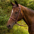 Load image into Gallery viewer, Henri de Rivel Advantage Fancy Raised Padded Bridle With Laced Reins - image 3