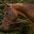 Load image into Gallery viewer, Henri de Rivel Advantage Fancy Raised Padded Bridle With Laced Reins - image 2