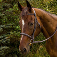 Load image into Gallery viewer, Henri de Rivel Advantage Fancy Raised Padded Bridle With Laced Reins