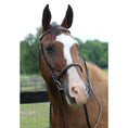 Load image into Gallery viewer, Henri de Rivel Pro Fancy Raised Bridle With Laced Reins - image 2