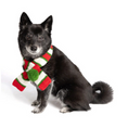 Load image into Gallery viewer, Christmas Dog Scarf