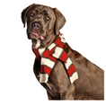 Load image into Gallery viewer, Red & White Striped Pet Scarf