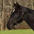 Load image into Gallery viewer, Henri de Rivel Pro Fancy Padded Rolled Throat Triple Stitched Halter - image 4
