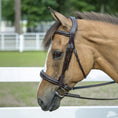 Load image into Gallery viewer, Henri de Rivel Pro Mono-Crown Padded Wide Noseband Bridle