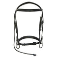 Load image into Gallery viewer, Henri de Rivel Pro Padded Dressage Bridle with Web Reins