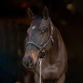 Load image into Gallery viewer, Henri de Rivel Leather Rope Halter - image 4