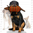 Load image into Gallery viewer, tuffy® Desert Series - Armadillo