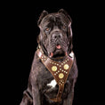 Load image into Gallery viewer, The "Maximus" brown harness