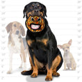 Load image into Gallery viewer, tuffy® Alien Series - Ball
