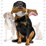 mighty® Dinosaur Series - T-Rex