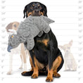 Load image into Gallery viewer, mighty® Dinosaur Series - Triceratops