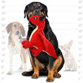Load image into Gallery viewer, mighty® Dragon Series - Red