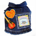 Load image into Gallery viewer, Rock Star (The Beatles) Magical Mystery Tour Denim Dog Jacket alternate view