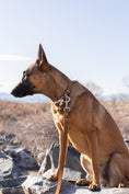 Load image into Gallery viewer, Modern Style Quick-Release Earth Brown Leather Dog Collar - image 4