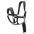 Load image into Gallery viewer, Henri de Rivel Ergonomic Comfort Halter and Lead Rope Set - image 5