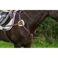 Load image into Gallery viewer, Henri de Rivel Pro 5 Point Elastic Breastplate Martingale with Running Attachment - image 4