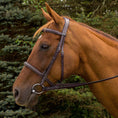 Load image into Gallery viewer, Henri de Rivel Pro Mono Crown Fancy Stitched Padded Bridle - image 2