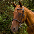Load image into Gallery viewer, Henri de Rivel Pro Mono Crown Fancy Stitched Padded Bridle