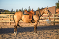 Load image into Gallery viewer, Jade Green Western Saddle Pad
