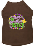 Load image into Gallery viewer, Pet Dog & Cat Shirt Screen Printed, "Throw Me Something Mister"