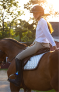 Load image into Gallery viewer, Jump Saddle Pad | Chrome