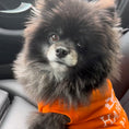 Load image into Gallery viewer, Hairmes Paris Designer Dog T-Shirt