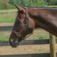Load image into Gallery viewer, Henri de Rivel Stress Free Halter With Fancy Contrast Stitching - image 5