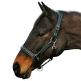 Load image into Gallery viewer, Henri de Rivel Stress Free Halter With Fancy Contrast Stitching - image 4